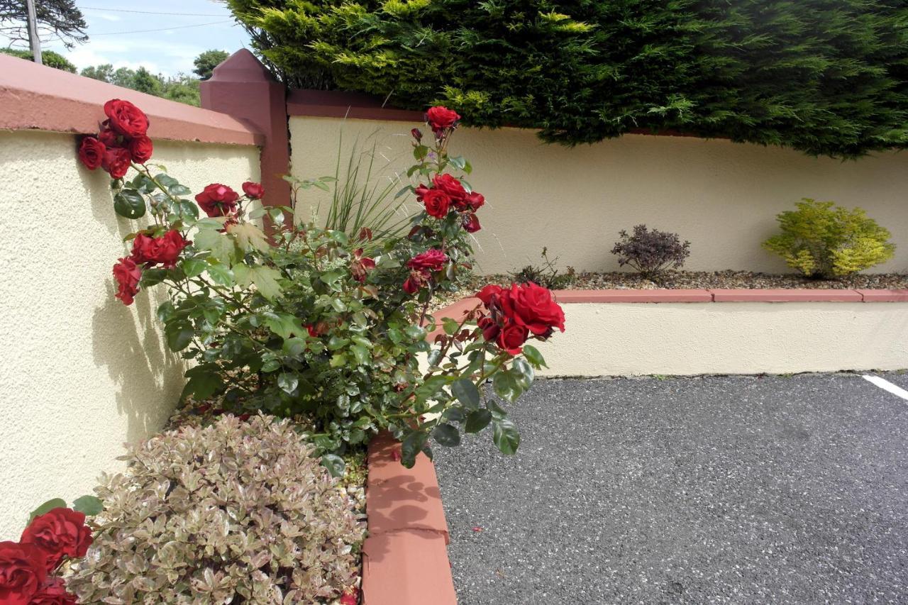 Seacourt Accommodation Tramore - Adult Only Exteriér fotografie